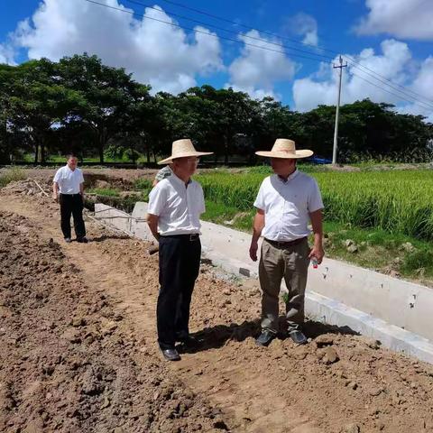 三亚市农业农村局云俊同志等一行到崖州区督导高标准农田项目建设工作