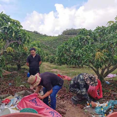 区农业农村局曹明副局长到芒果园督导农业投入品田间废弃物回收工作