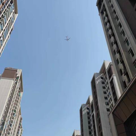 【金色华府】进展情况