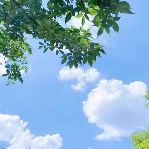 【玖玺台】4月12号施工进展