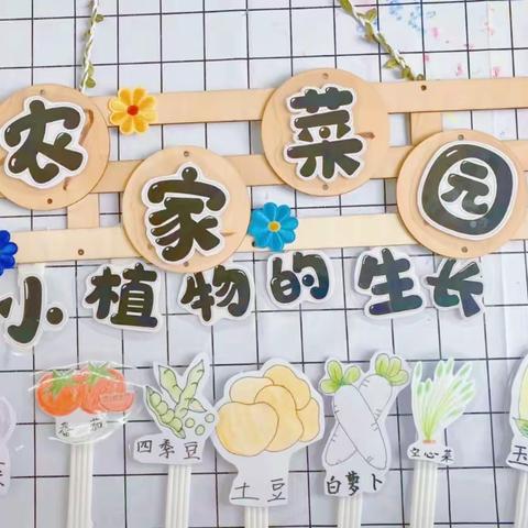 农家菜园收获多——2019级02班实践活动
