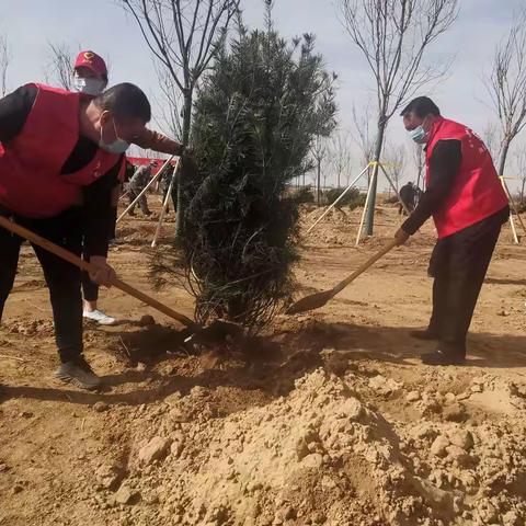 要家庄乡全体干部义务植树