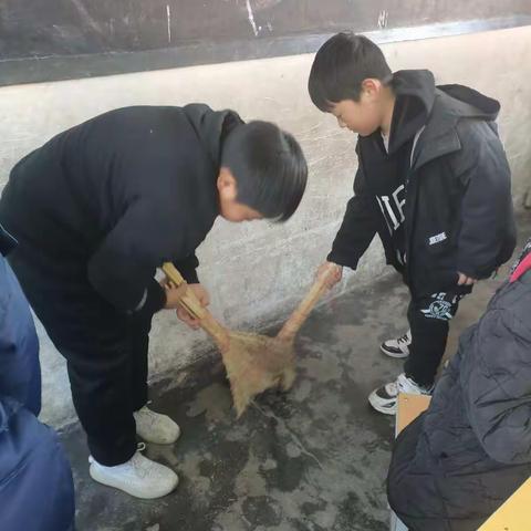 晨曦的美篇