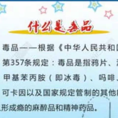 “禁毒进校园 无毒伴我行”——浐灞第二十四小学开展禁毒知识教育