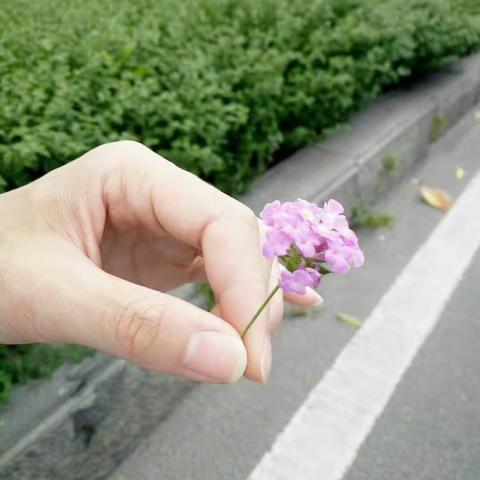 《听乐》