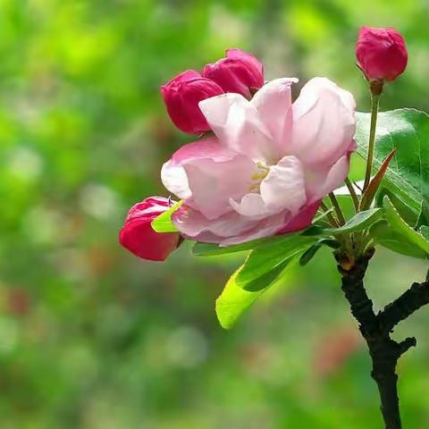 “舞动青春 绽放自我” ―― 元旦系列活动