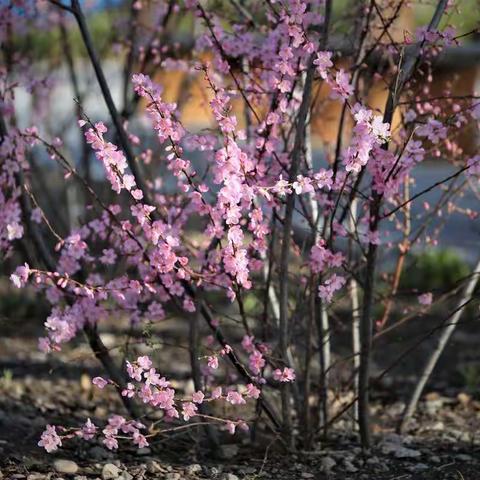 24条令人拍案叫绝的好句子，精辟噎人，了解一下！