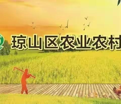 琼山区农业农村局积极开展农机安全检查及宣传工作