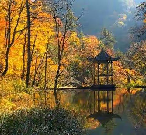 11月14-15日城固采橘+黎坪森林公园+汉中美食两日游