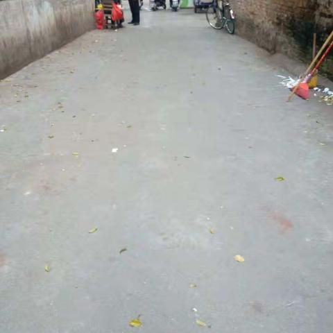 2020年1月18日第3片区14号网格五指山市森林公安局开展双创整治工作情况报告