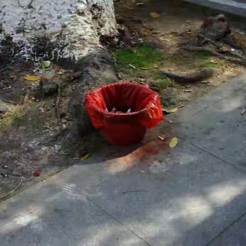 【五指山市森林公安局】开展网格责任区整改工作