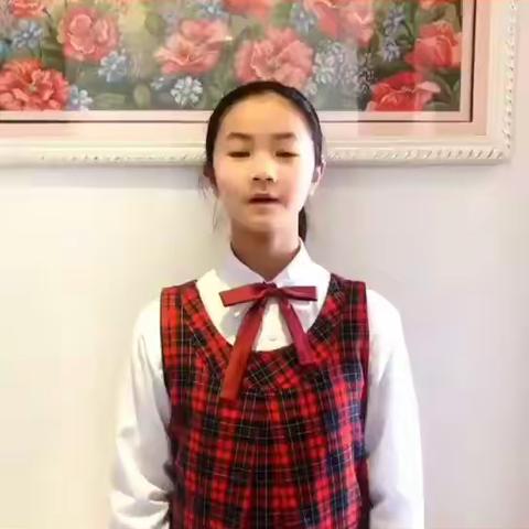 众志成城，抗击疫情/宛水二小公益宣传员传递正能量(一)