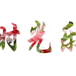 教研视导优路径          奋力向前促提升