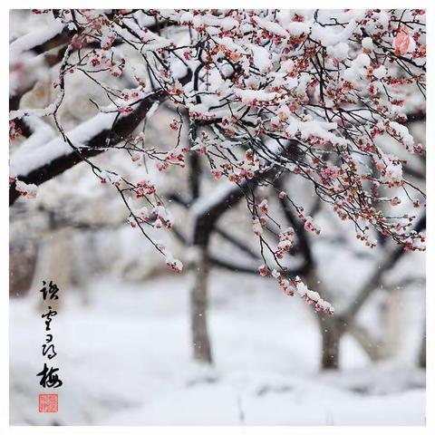 “教”无涯，“研”无止， 精彩了课堂，温暖了时光                                  ---新城区教研视导