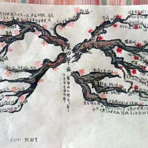 思维导图，让思维看得见——第五小学思维导图展示活动掠影