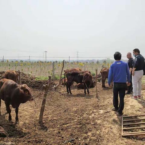 徐木中心入户验收2020年产业扶贫项目