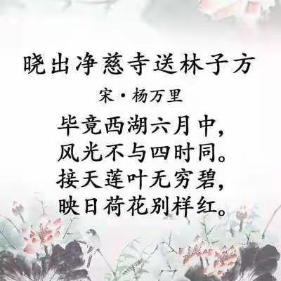 夏——《晓出净慈寺送林子方》