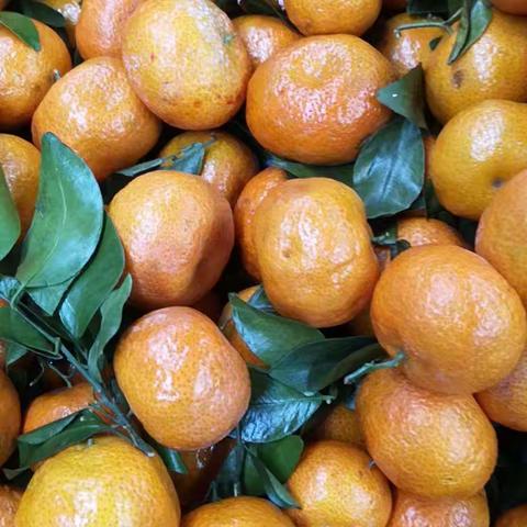 华美综超迎元旦，两周年庆典活动开始了