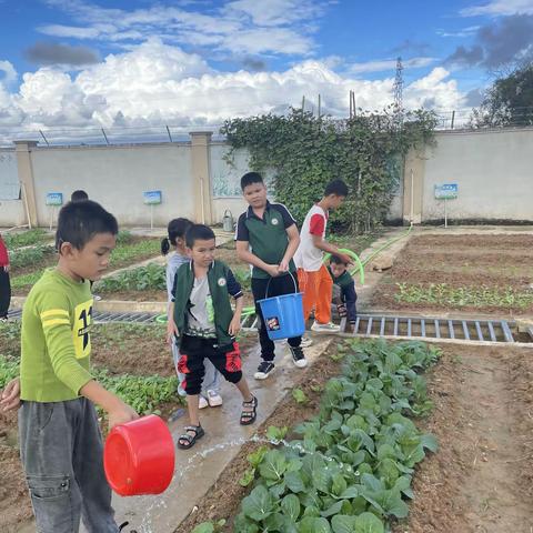 “悦”劳动，越快乐 ——陵水特殊教育学校劳动基地四年级