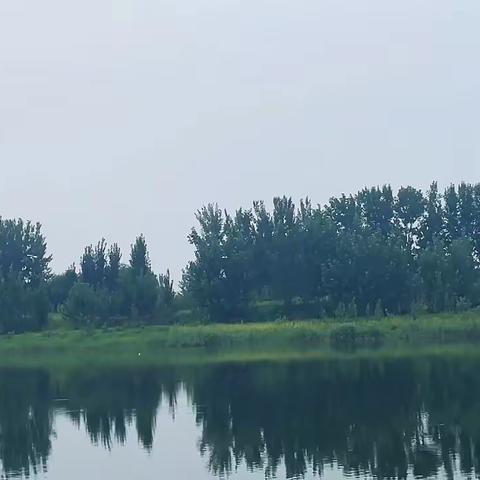 惦念