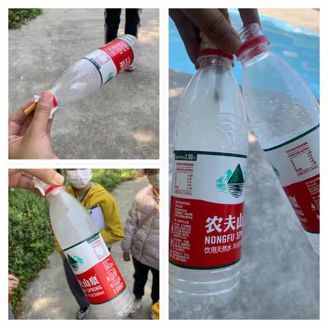 环保绿色文化探索小队的活动