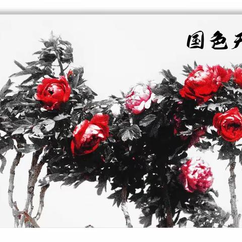 青岛根源园林牡丹园