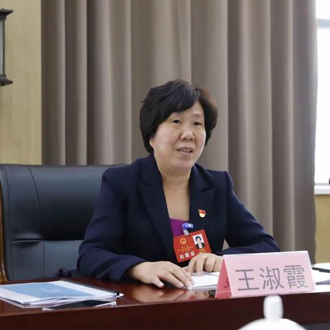 县领导王淑霞、杜耀辉参加兴华镇代表团讨论