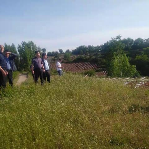 ＂烤烟十油菜＂套种，助力乡村旅游