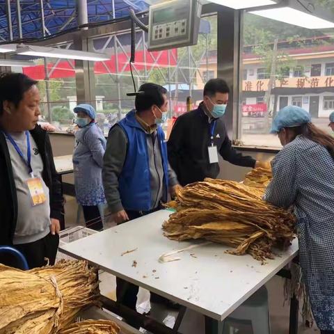 助力烟叶收购工作——兴华镇开展“人大代表活动日”活动