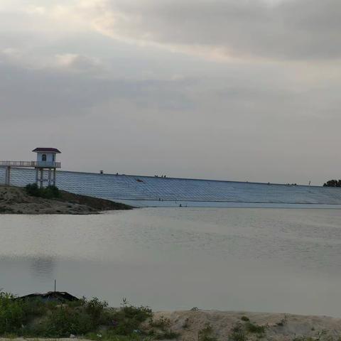 六月，我在光阴里种下深情