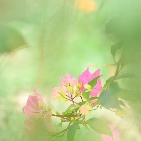 人到中年恰如秋，只言精彩不言愁