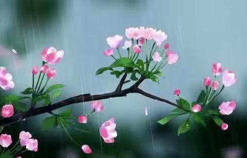 今夜，让我静静的想你