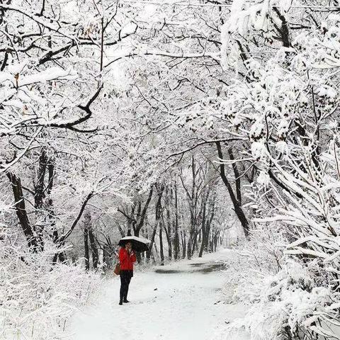 他日若能同沐雪，此生也算共白头