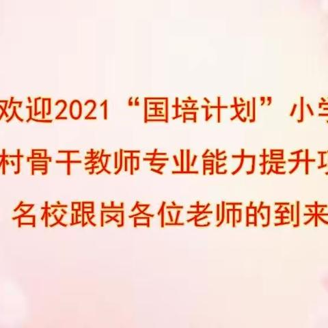 牵手国培，共同成长——魏春果名师工作室之2021国培计划跟岗培训活动纪实