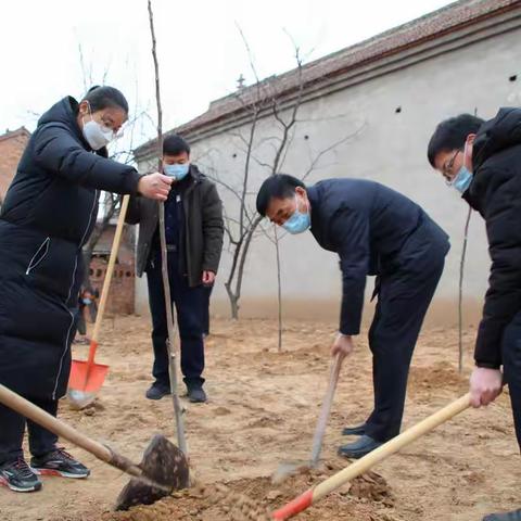 区政协党组副书记路志平带领共青团界政协委员到屯庄营村开展义务植树活动