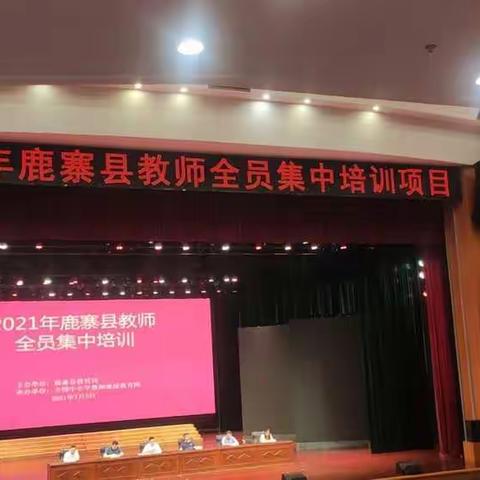 2021年鹿寨县中小学音乐教师全员集中培训(鹿寨中学）培训总结