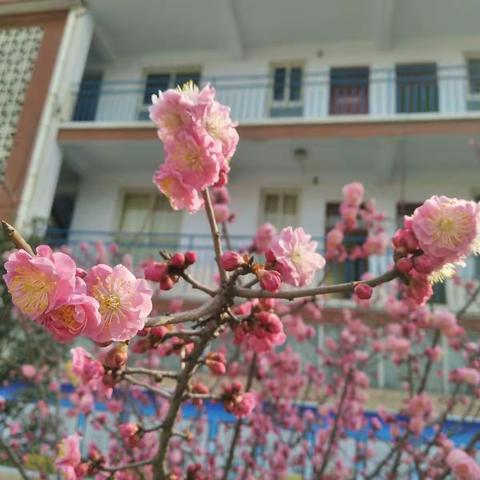 新密一初中向雷锋同志学习