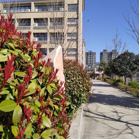 写给同事们的“情书”