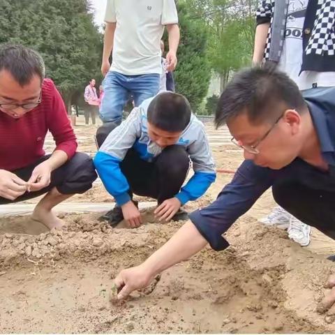 播种希望 ----记史家畔小学“小菜园”特色课程