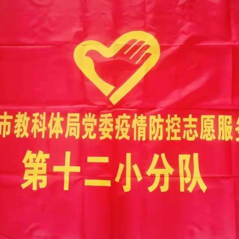 冲锋在前 甘于奉献 他们是最可爱的人 ———记教科体局党委抗疫志愿者十二小分队疫情防控工作