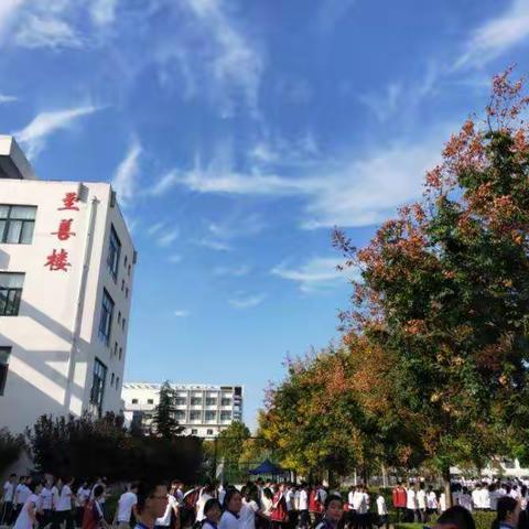 视而导之  行之有效——新城中学2020生物教学视导纪实