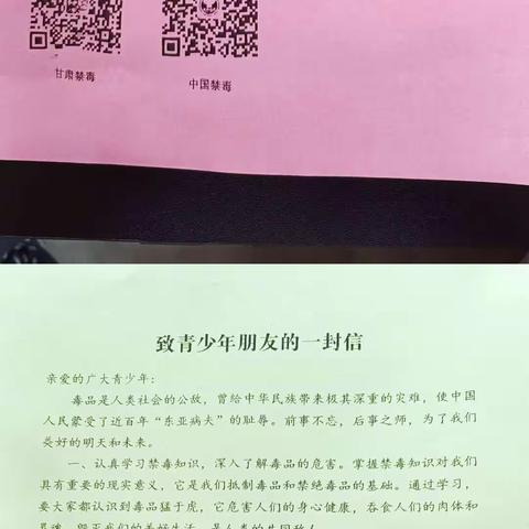 秦安县第二小学杨坪校区2022年秋季学期小学法制教育