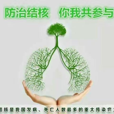 防治结核病，让每次呼吸更健康