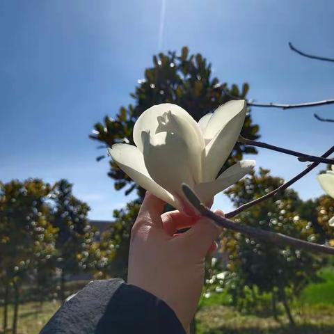 春天来啦
