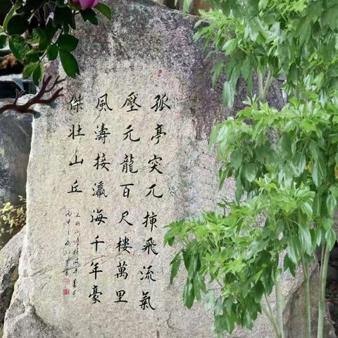 孔勇书法（综艺版）