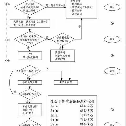 新生儿复苏演练