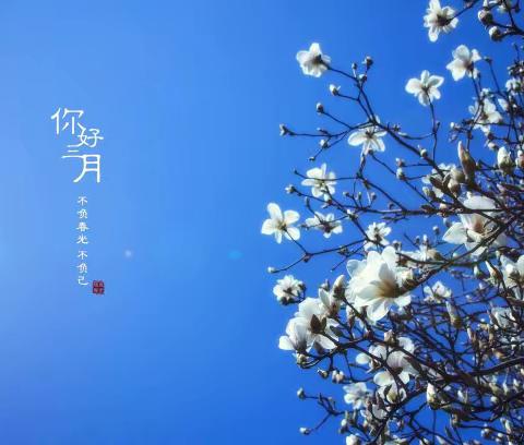 疫情无阻开学季，线上学习开新篇