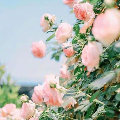 停课不停学，我们用行动证明