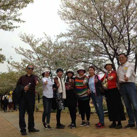 春意盎然风凰沟