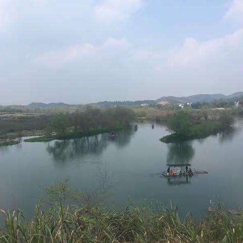 春风又绿江南岸，同𥦬相约聚婺源